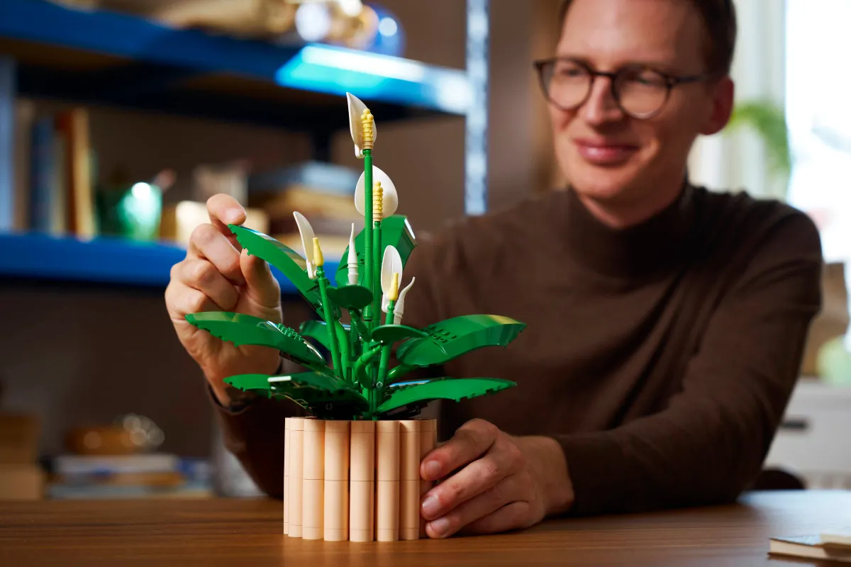 Peace Lily - Image 7