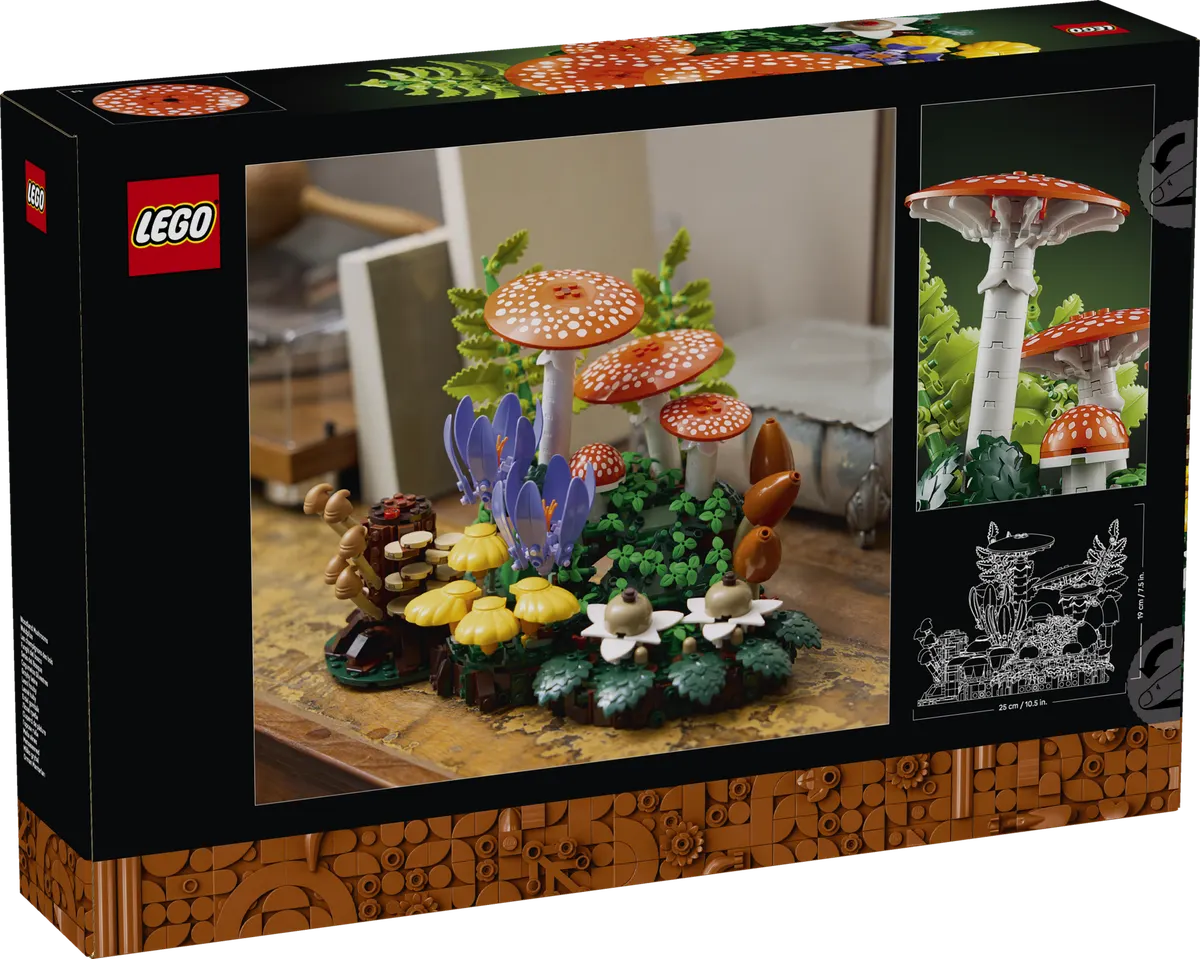 Woodland Mushrooms - Image 3