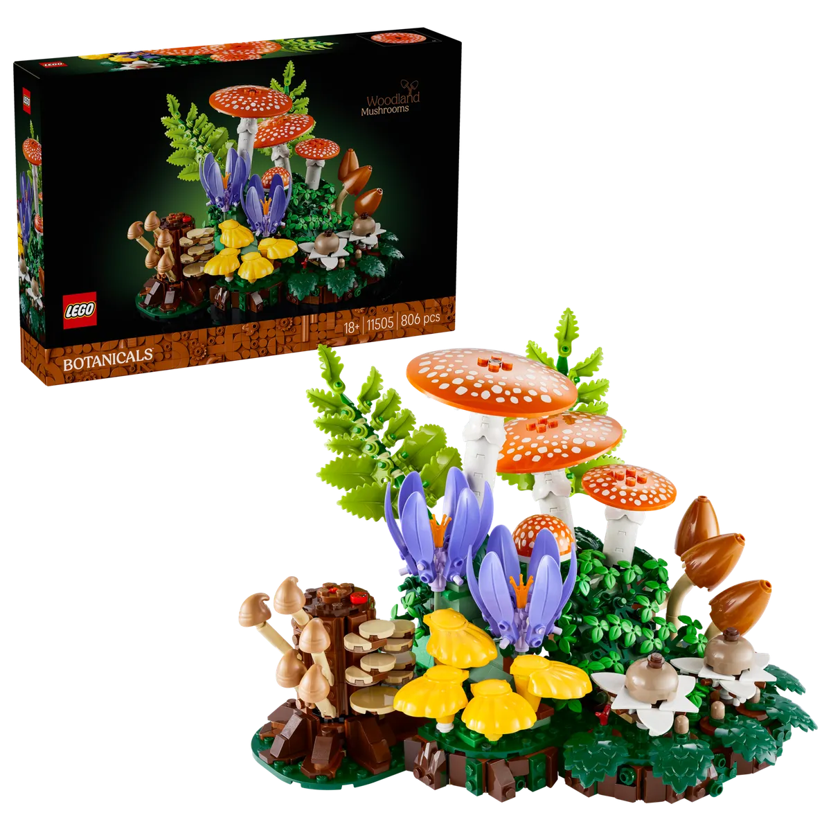 Woodland Mushrooms - Image 2