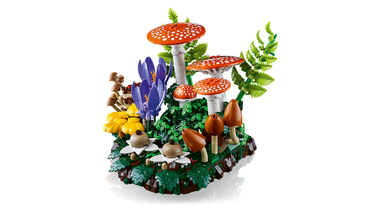 Woodland Mushrooms - Image 4