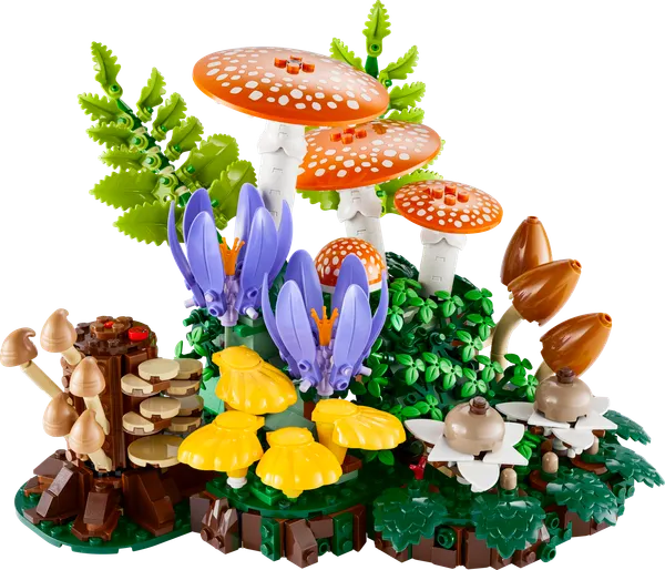 Woodland Mushrooms