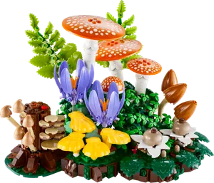 Woodland Mushrooms