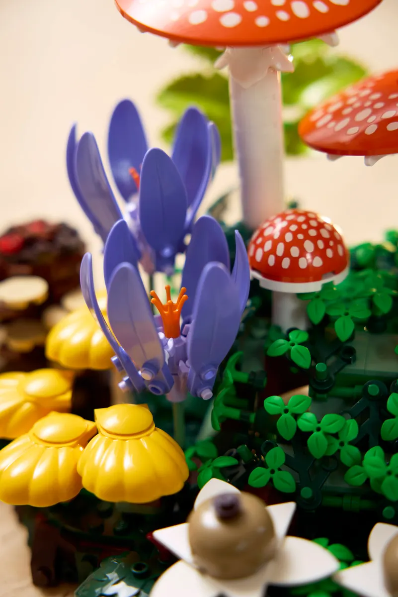 Woodland Mushrooms - Image 10