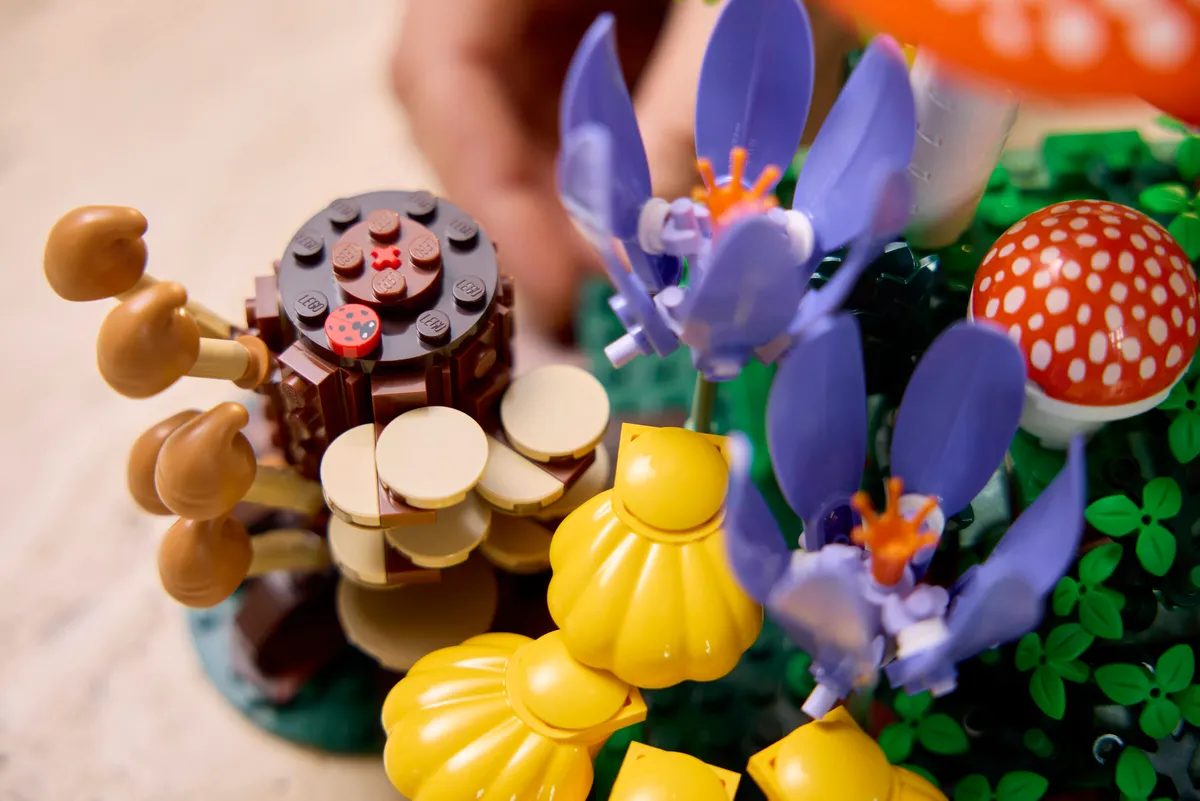 Woodland Mushrooms - Image 11