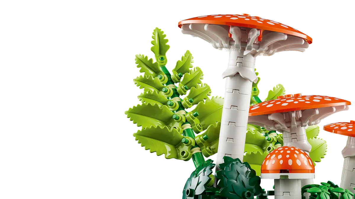 Woodland Mushrooms - Image 6
