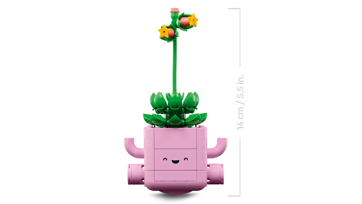 Rocking Plants - Image 8