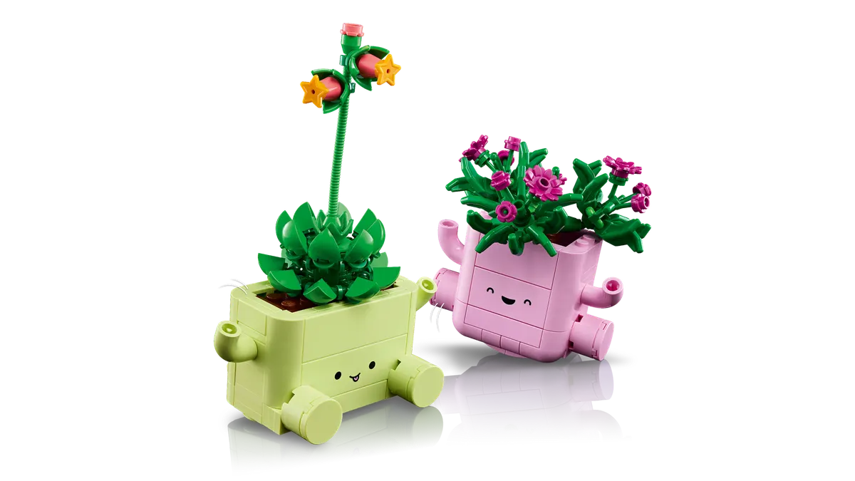 Rocking Plants - Image 6