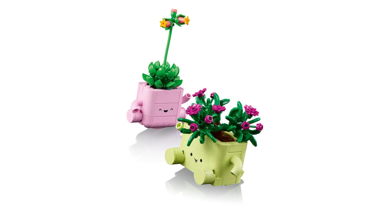 Rocking Plants - Image 5