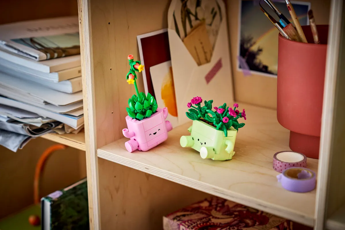 Rocking Plants - Image 12