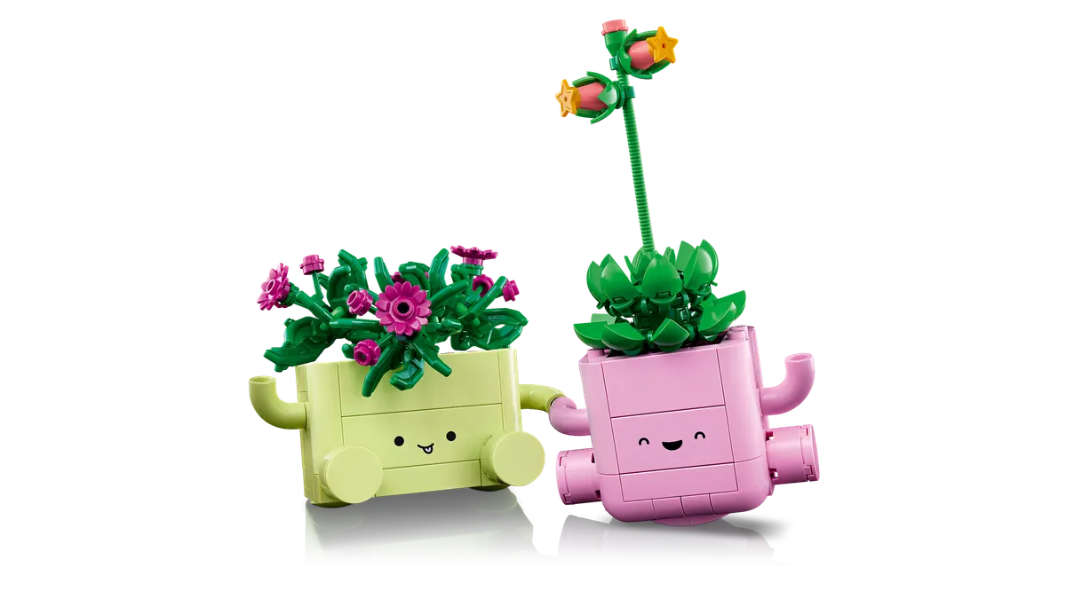 Rocking Plants - Image 4