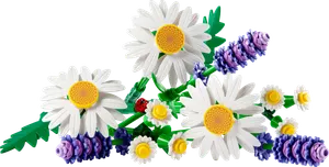 Daisies