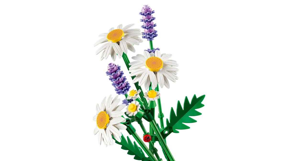 Daisies - Image 10