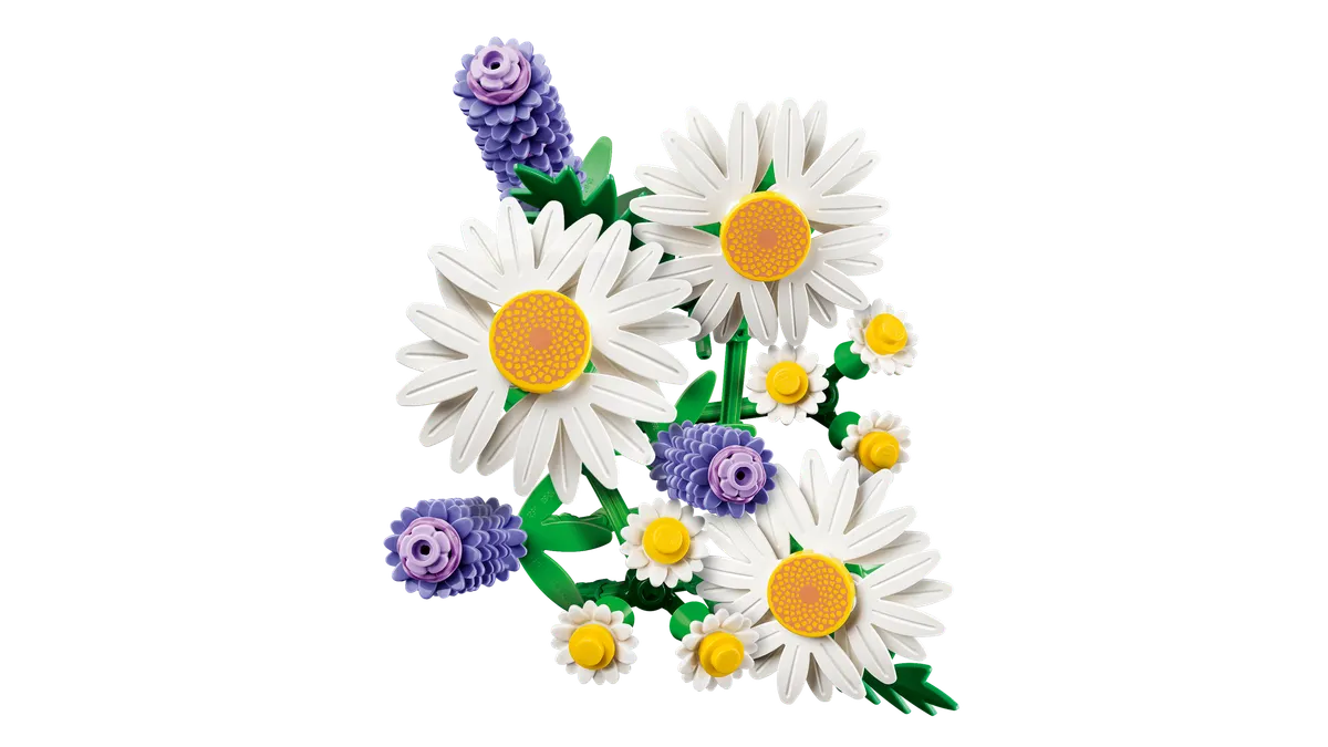 Daisies - Image 11