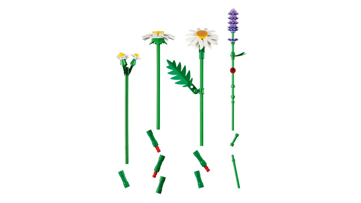 Daisies - Image 12