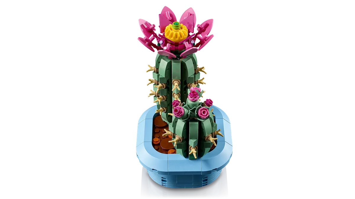 Flowering Cactus - Image 11