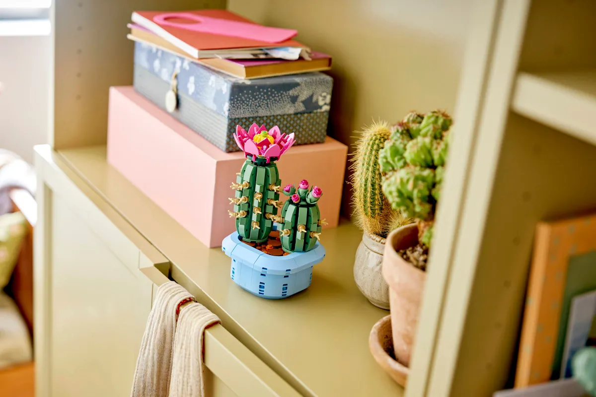 Flowering Cactus - Image 7