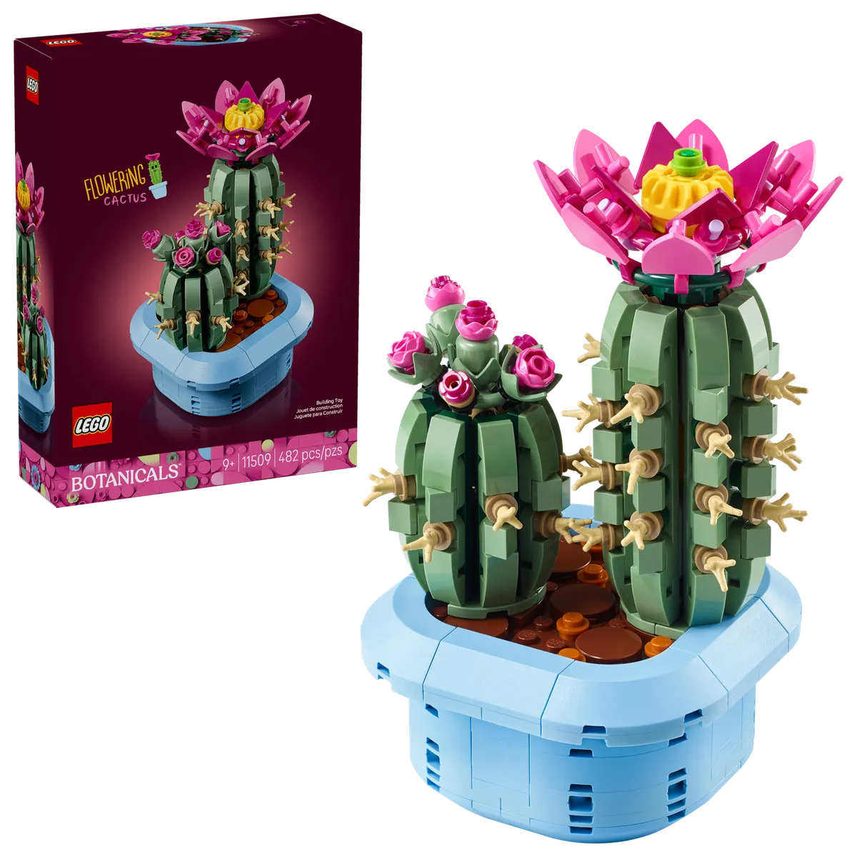 Flowering Cactus - Image 2