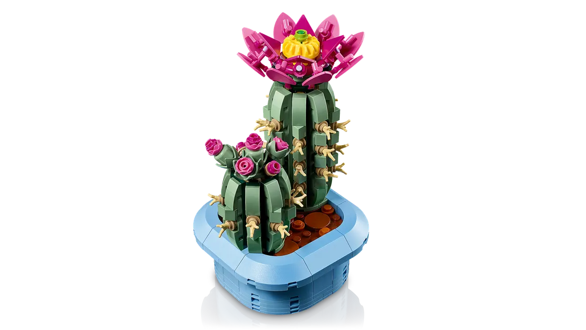 Flowering Cactus - Image 9