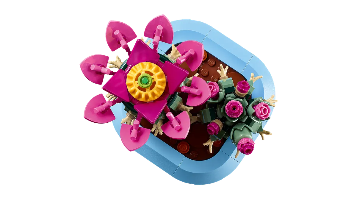Flowering Cactus - Image 10