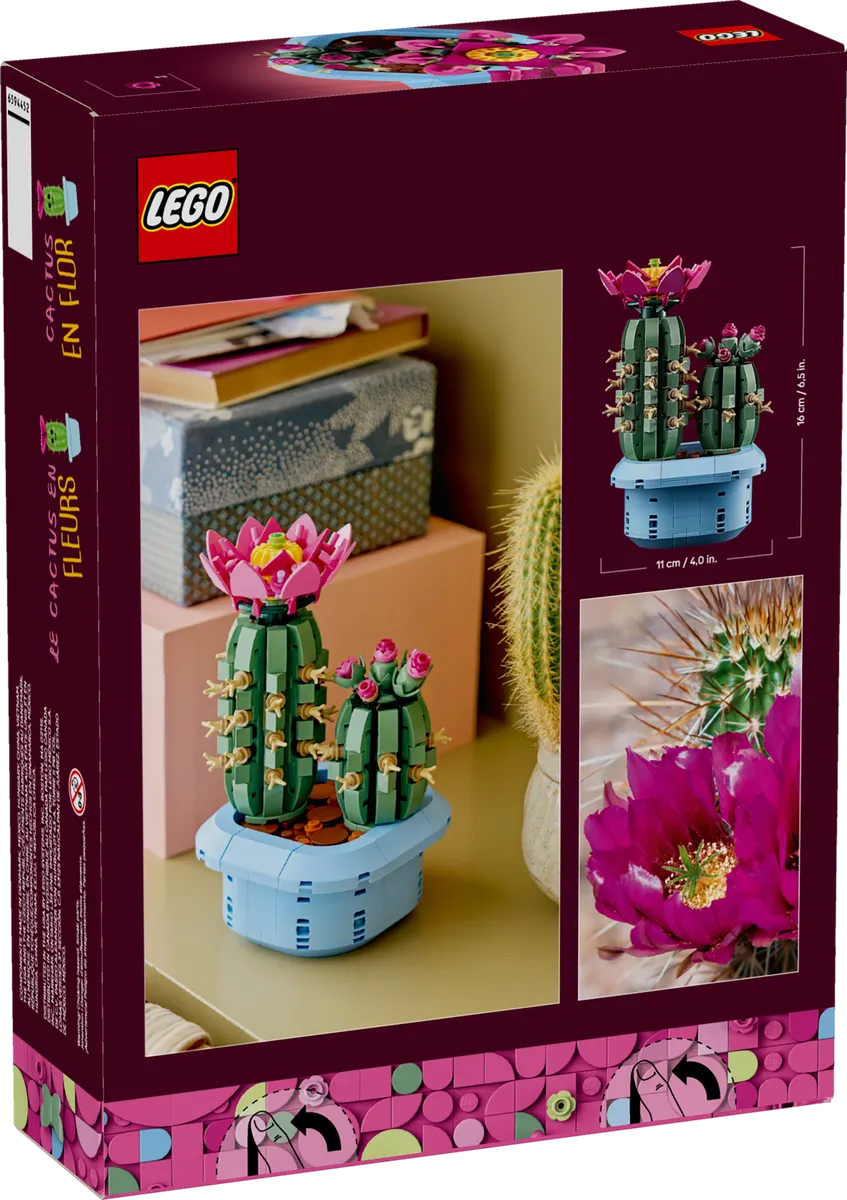 Flowering Cactus - Image 8