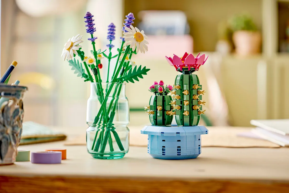 Flowering Cactus - Image 4