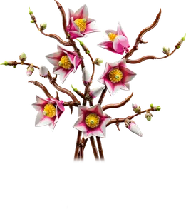Magnolia Branches