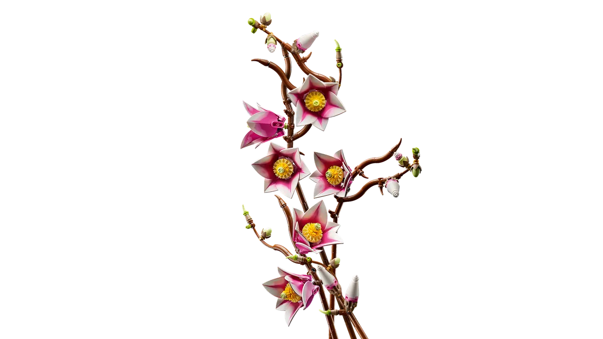 Magnolia Branches - Image 12