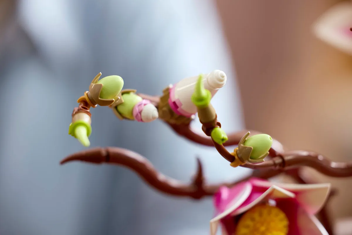 Magnolia Branches - Image 7