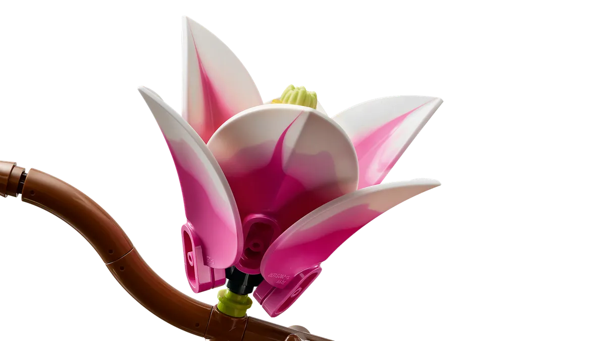 Magnolia Branches - Image 15