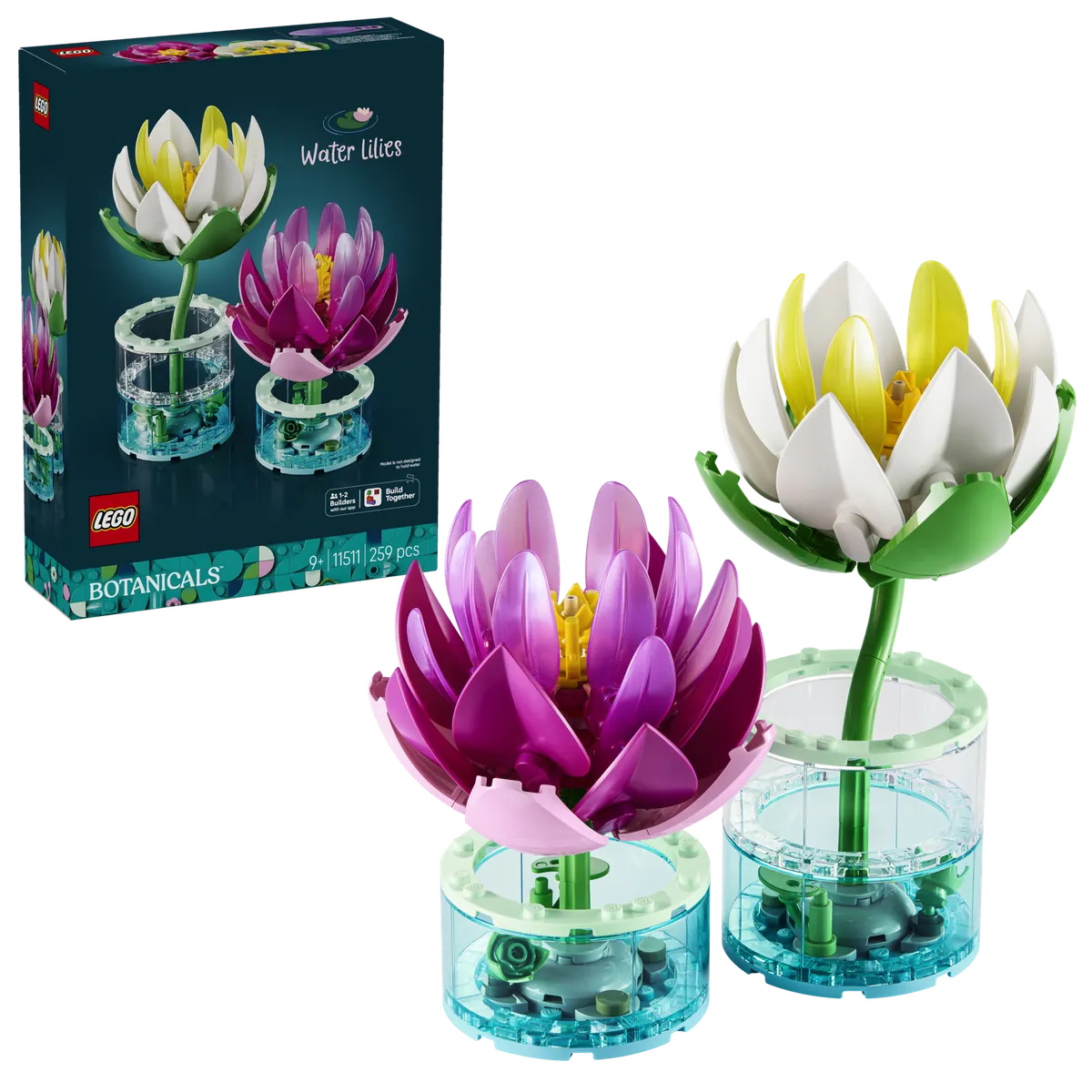 Water Lilies - Image 2