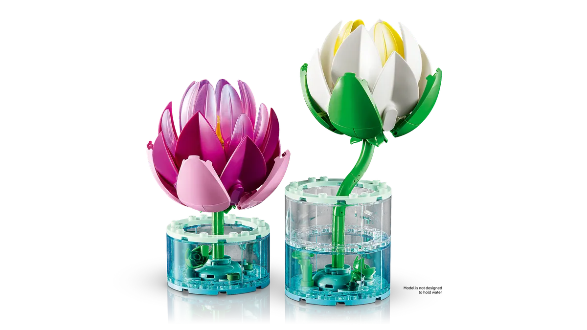 Water Lilies - Image 6