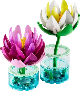 Water Lilies