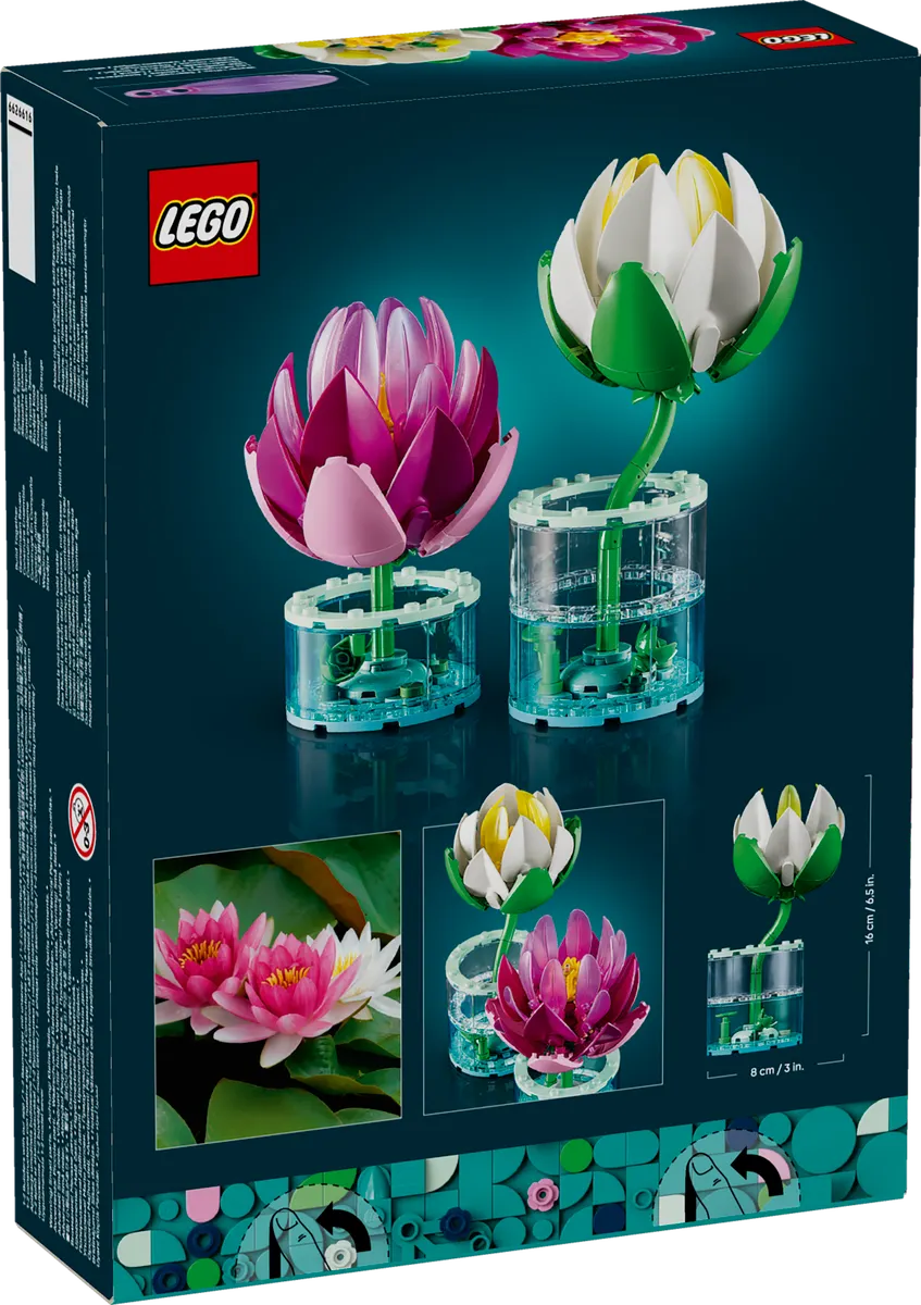 Water Lilies - Image 3