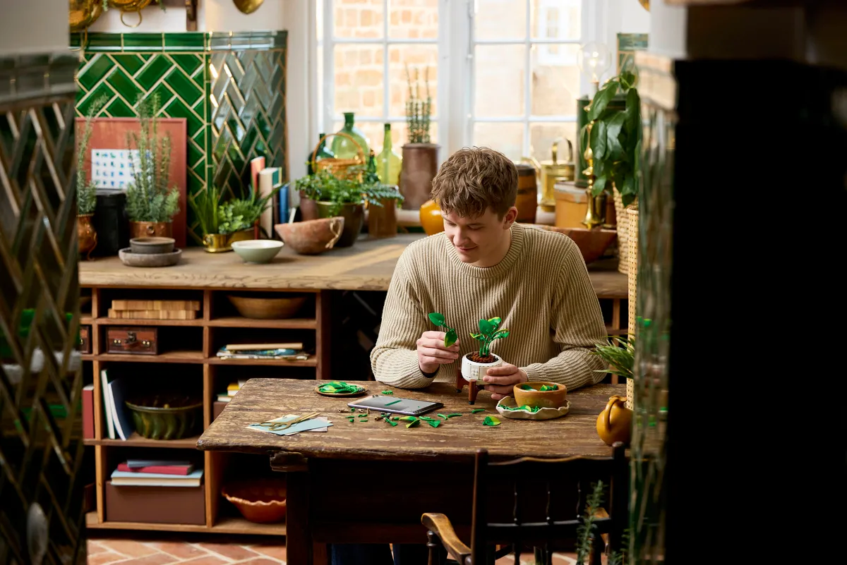 Hanging Golden Pothos - Image 10