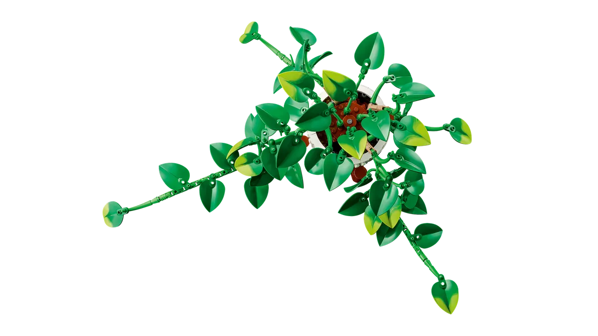 Hanging Golden Pothos - Image 5