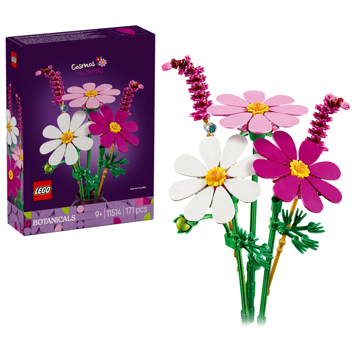 Cosmos Flowers - Image 2