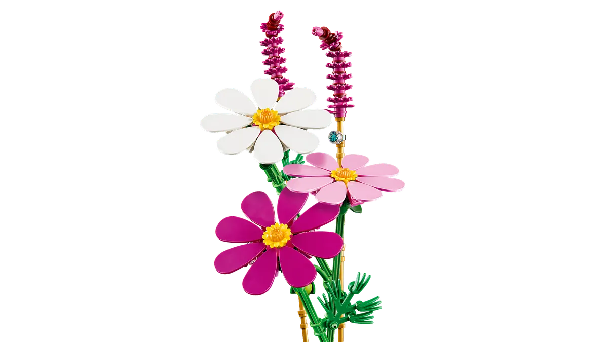 Cosmos Flowers - Image 4