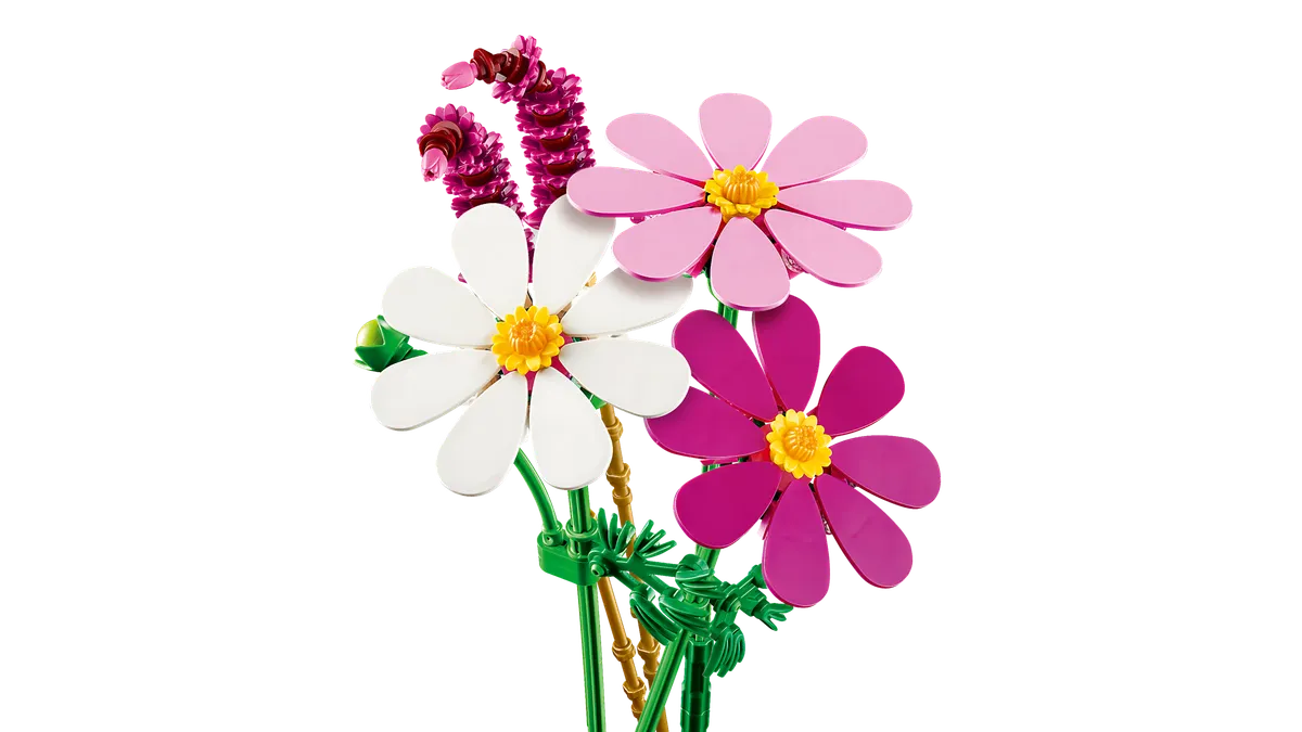 Cosmos Flowers - Image 5