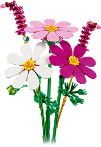 Cosmos Flowers