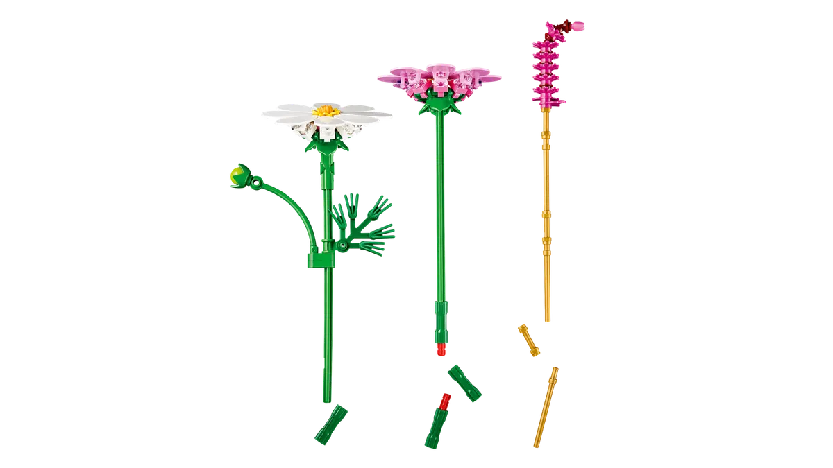Cosmos Flowers - Image 6