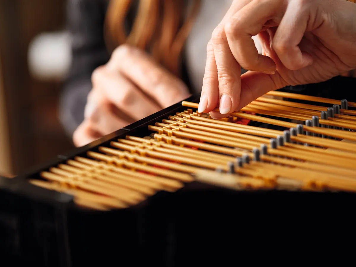 Grand Piano - Image 21