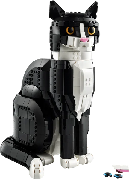 Tuxedo Cat