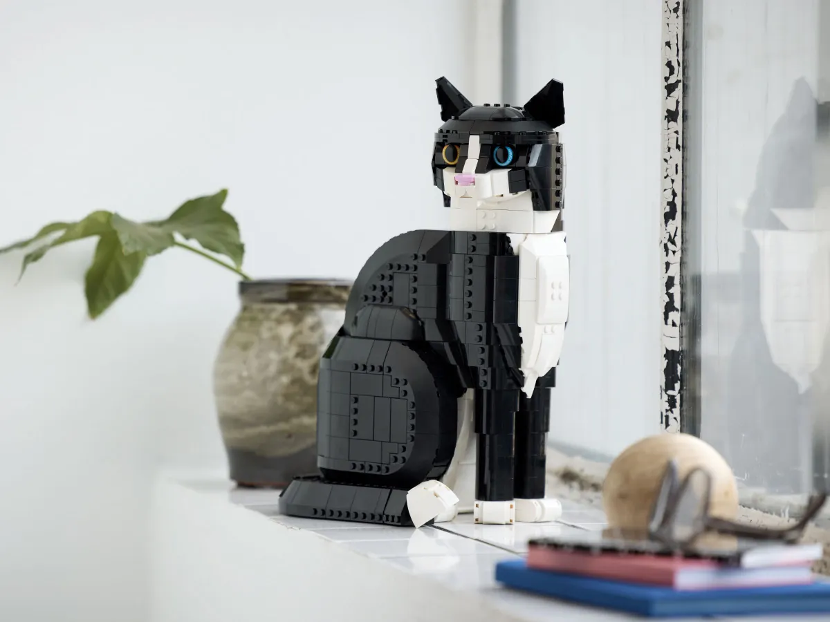 Tuxedo Cat - Image 6