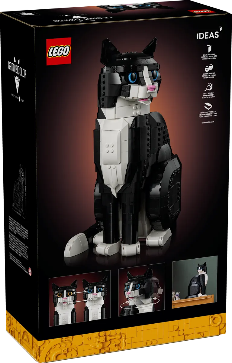 Tuxedo Cat - Image 7