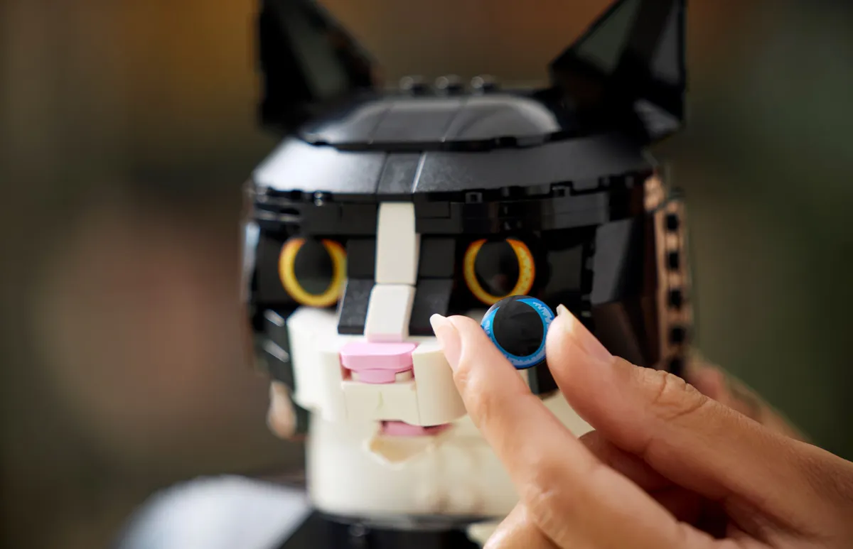 Tuxedo Cat - Image 3
