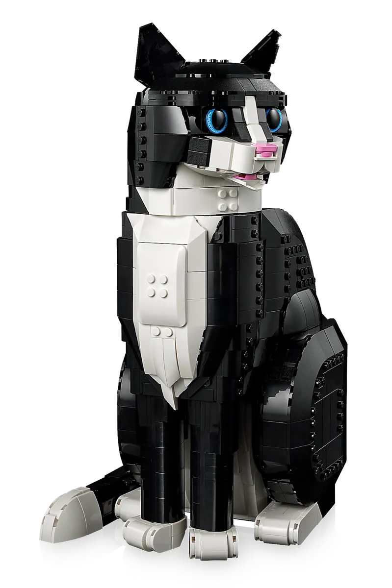 Tuxedo Cat - Image 9