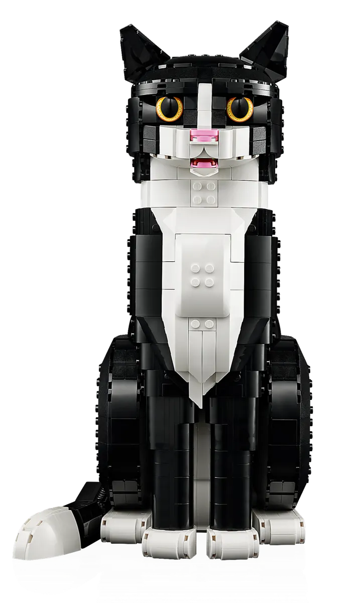 Tuxedo Cat - Image 8