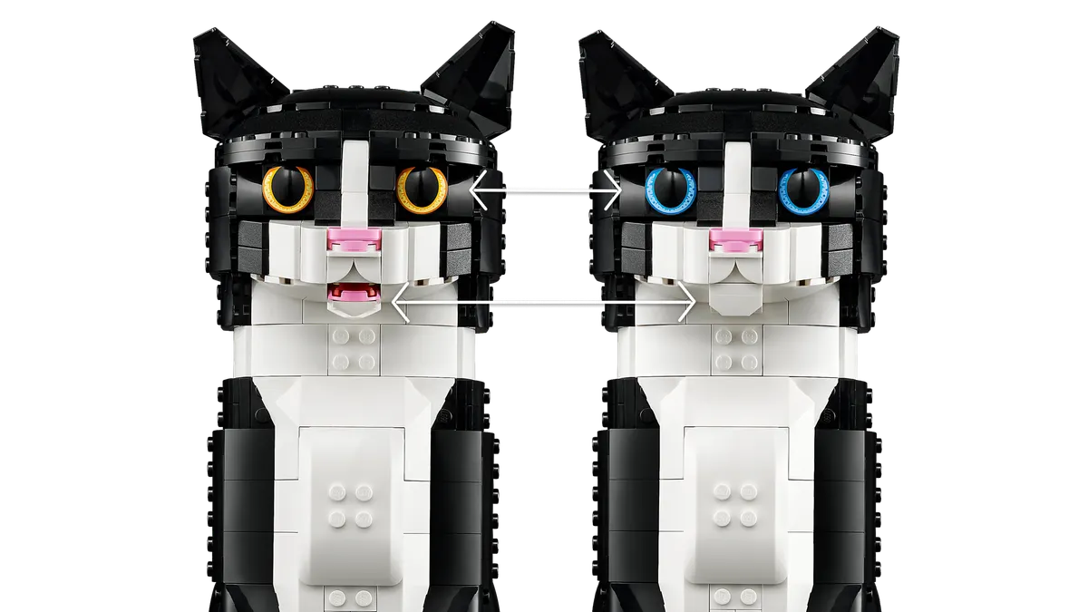 Tuxedo Cat - Image 10