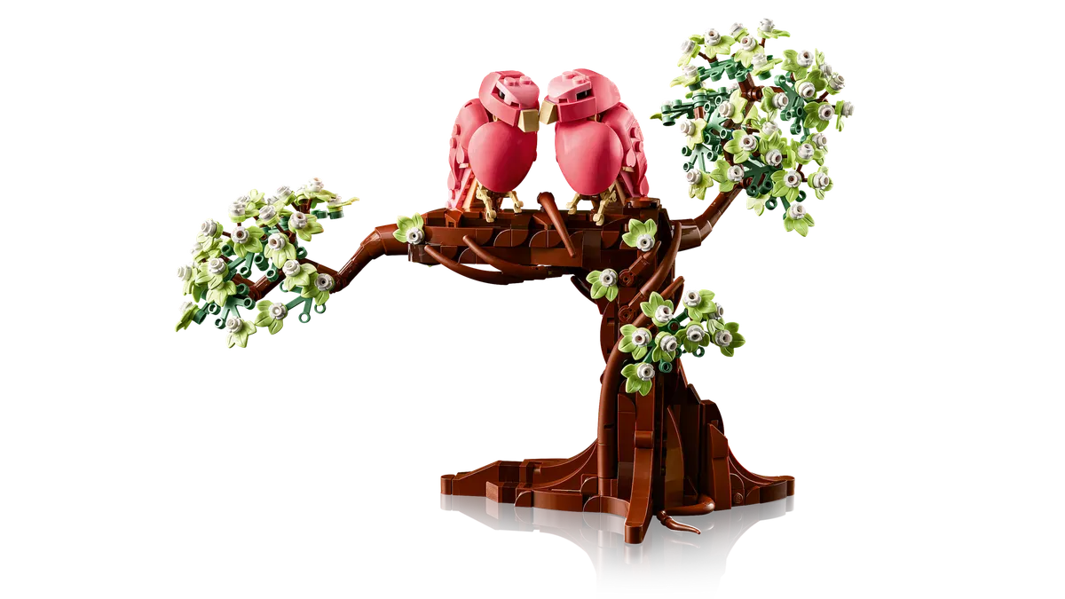 Love Birds - Image 12