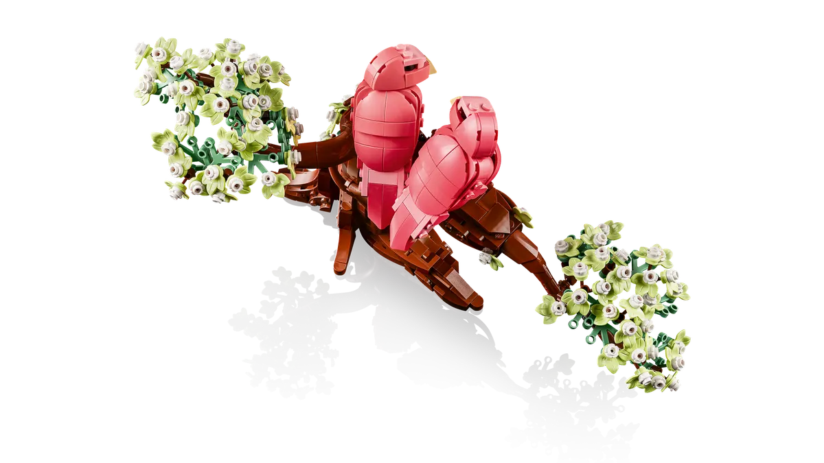 Love Birds - Image 11